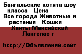 Бангальские котята шоу класса › Цена ­ 25 000 - Все города Животные и растения » Кошки   . Ханты-Мансийский,Лангепас г.